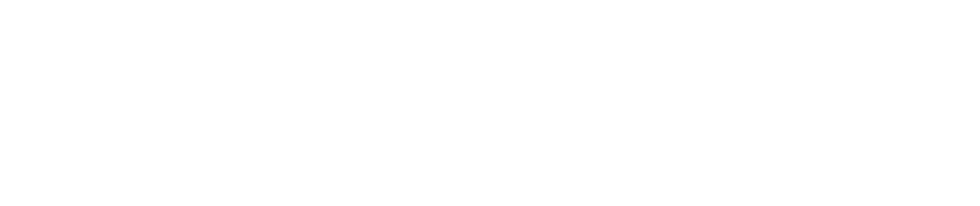 Naranjo Consulting & Coaching
