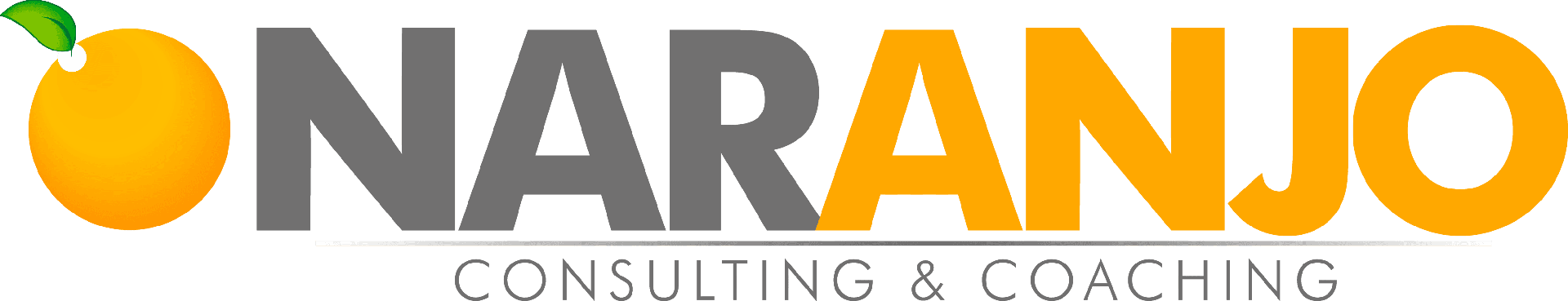 Naranjo Consulting & Coaching